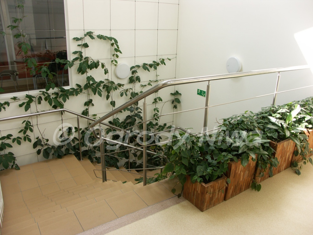 Realizacja otoczenia firm