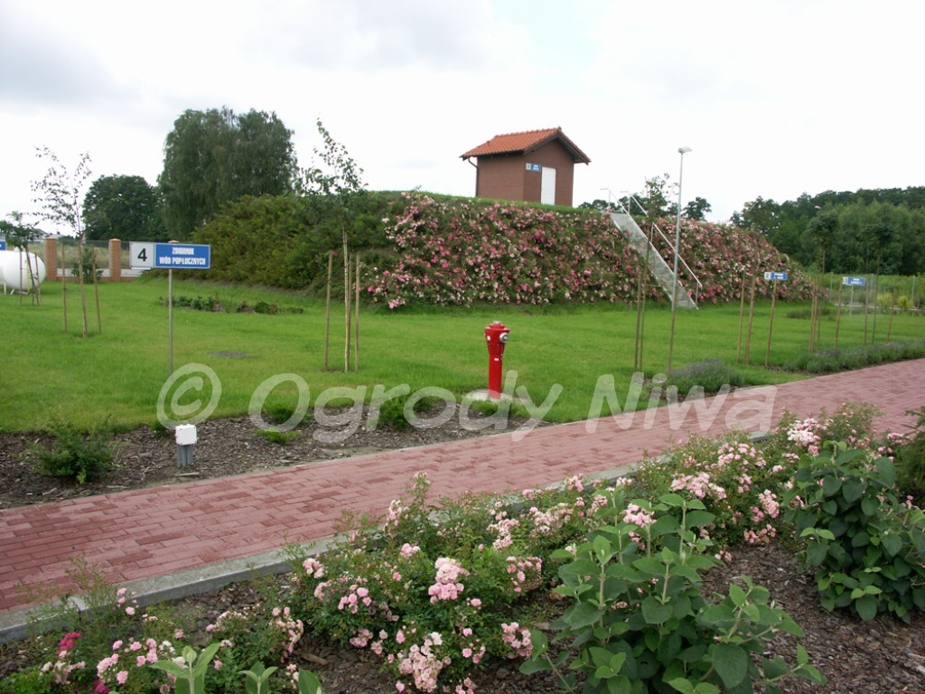 Realizacja otoczenia firm